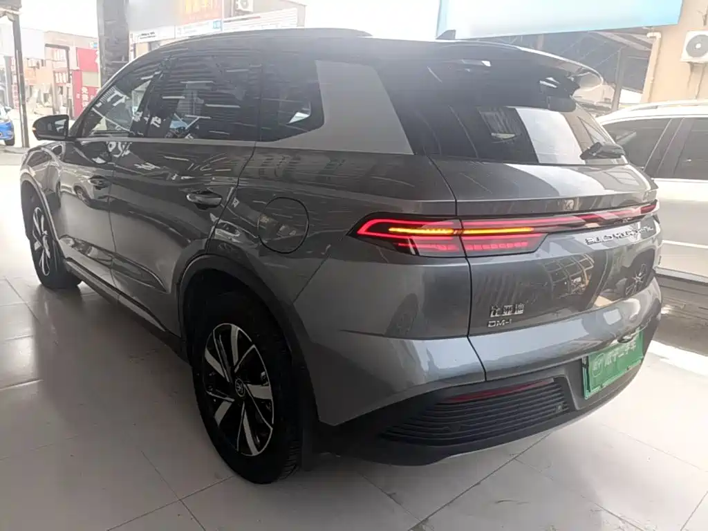 BYD Pro New Energy — миниатюра 5