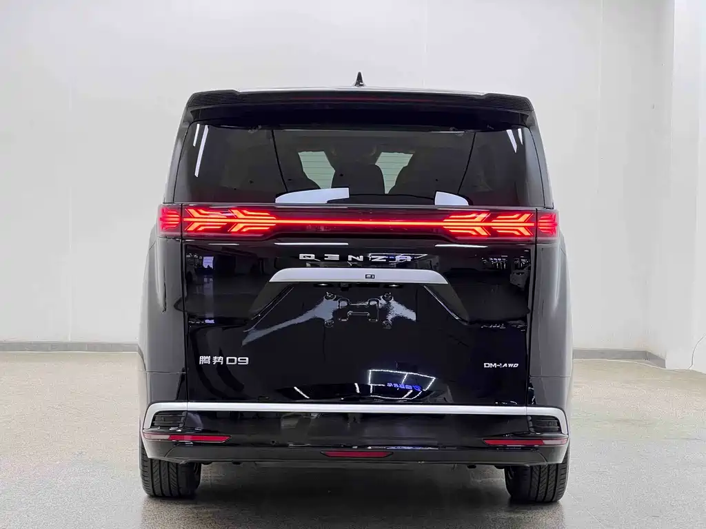 Denza Denza D9 — миниатюра 6