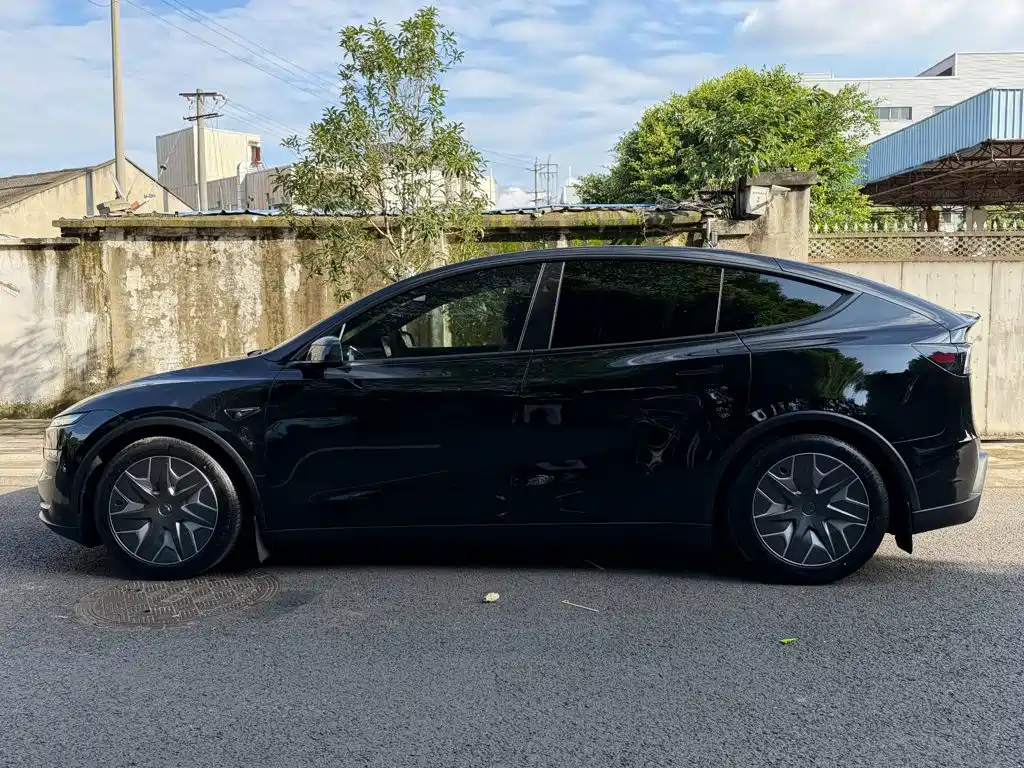Tesla Model Y — миниатюра 3
