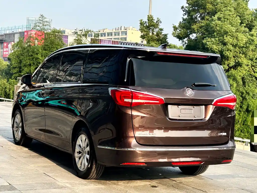 Buick GL8 — миниатюра 4