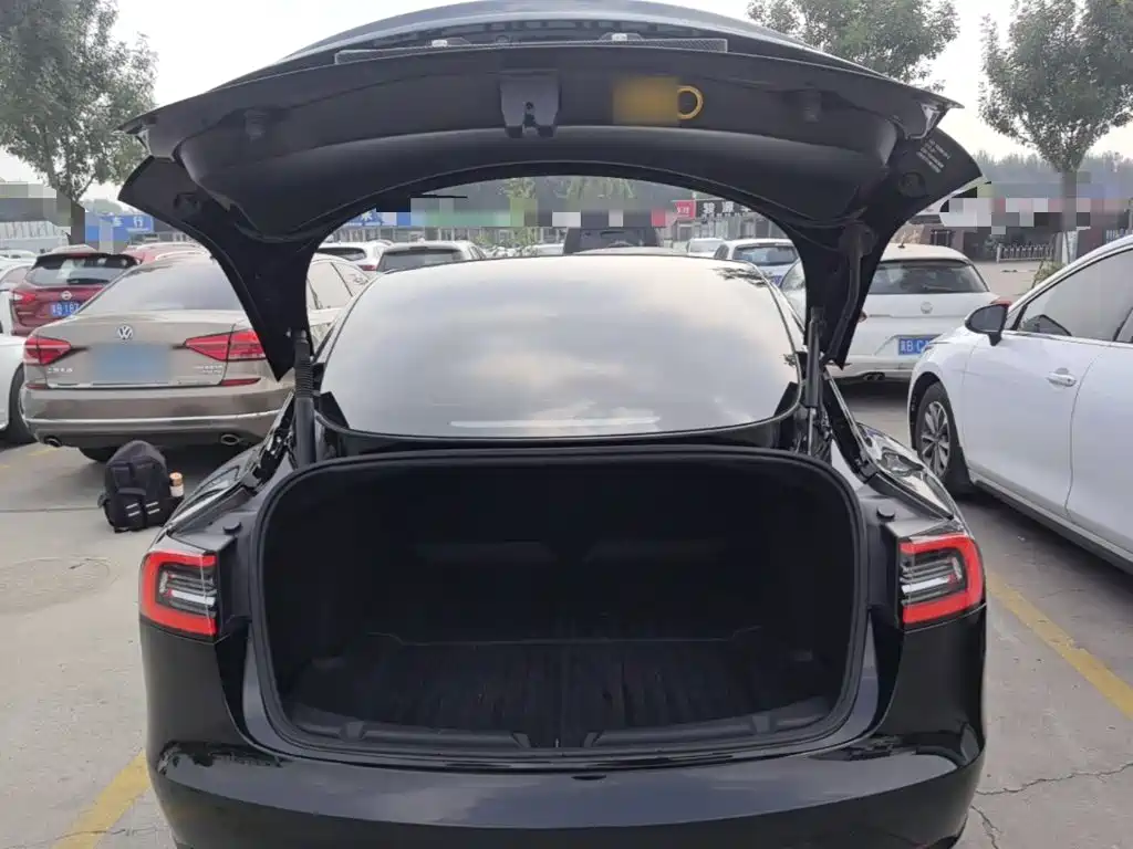 Tesla Model 3 — миниатюра 19