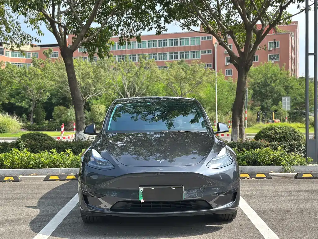 Tesla Model Y — миниатюра 2