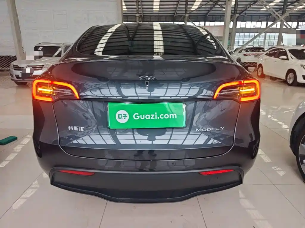 Tesla Model Y — миниатюра 6