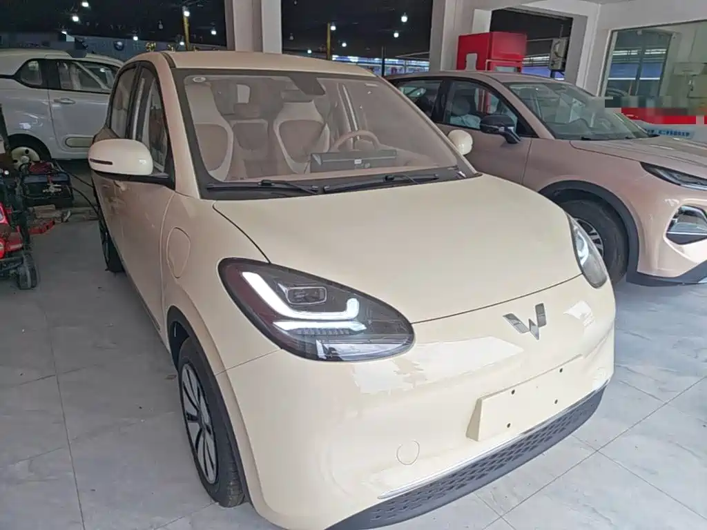 Wuling Binguo 2025 333km Enjoy
