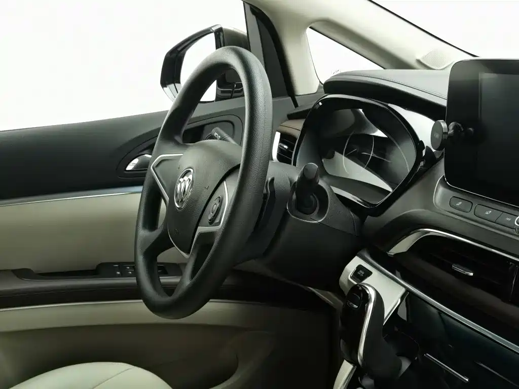 Buick GL8 — миниатюра 22