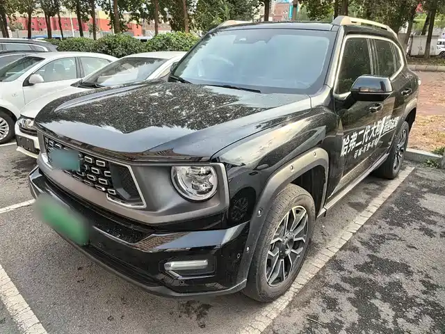 HAVAL  SECOND GENERATION BIG DOG NEW ENERGY 2024
