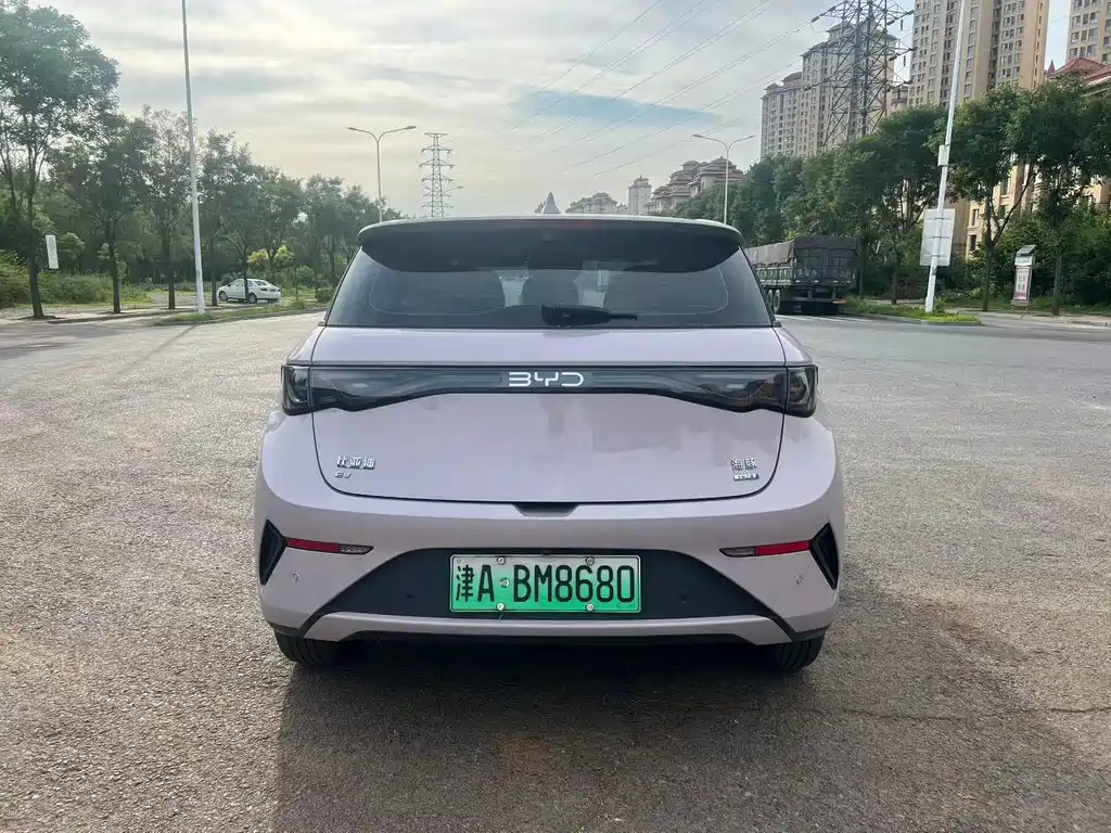 BYD Dolphin 2025 Smart Drive 410km Fashion