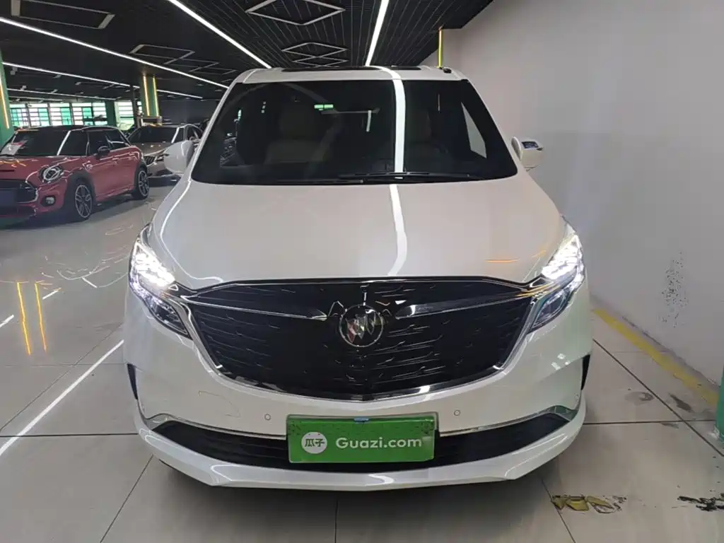 Buick GL8 — миниатюра 3