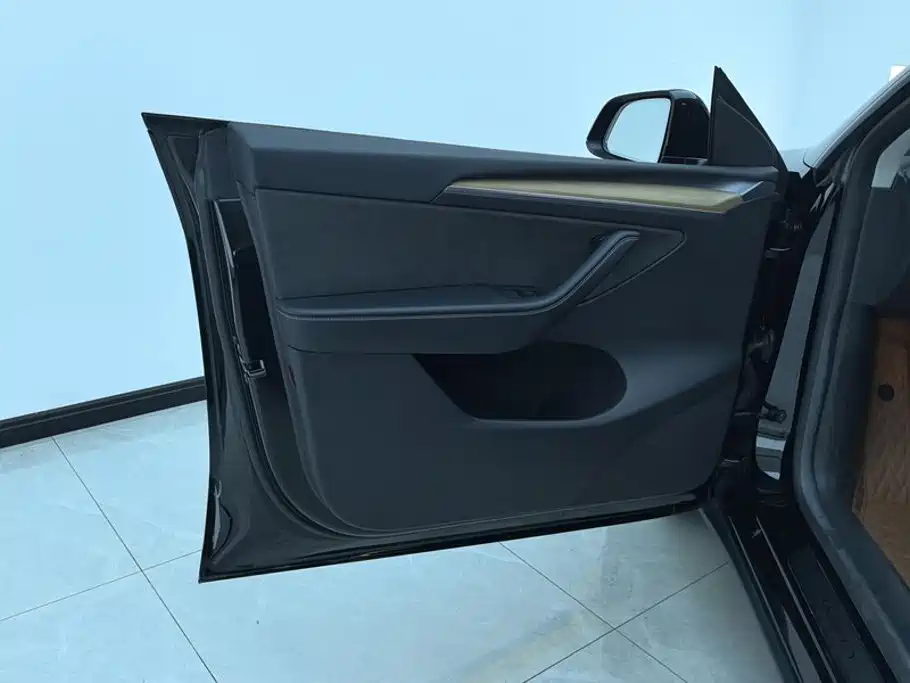 Tesla Model Y — миниатюра 7