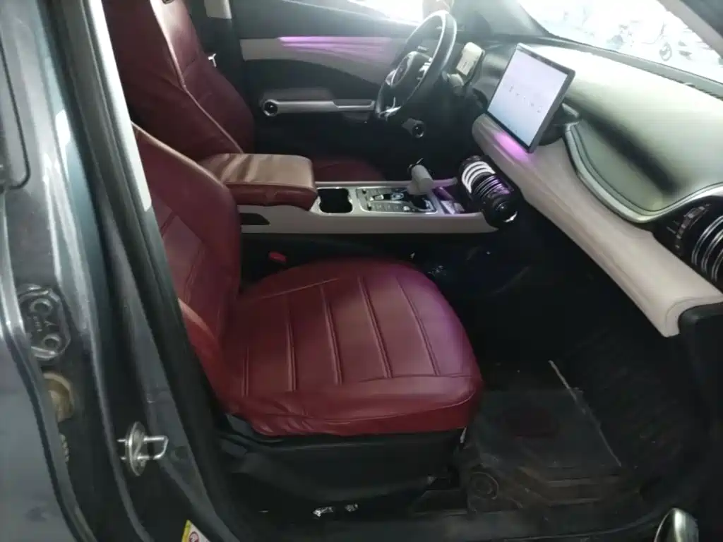 BYD Yuan Plus — миниатюра 25