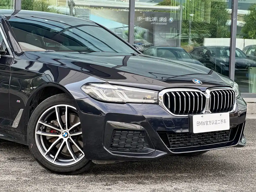 BMW 5 Series — миниатюра 11