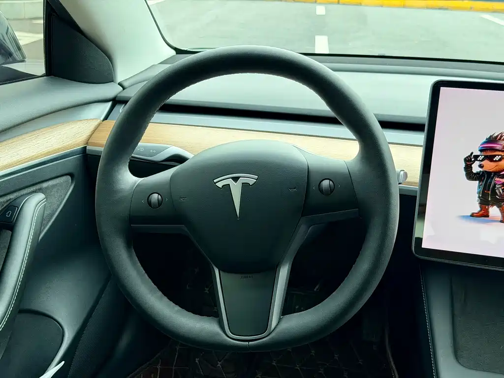 Tesla Model 3 — миниатюра 9