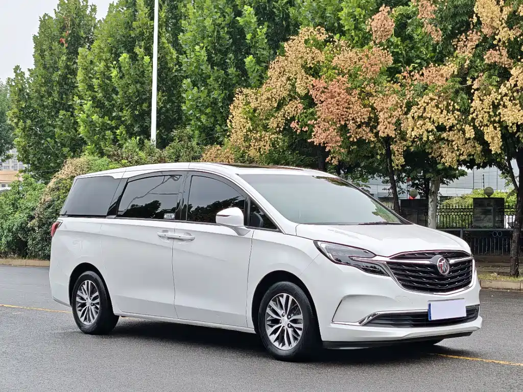 Buick GL8 — миниатюра 3