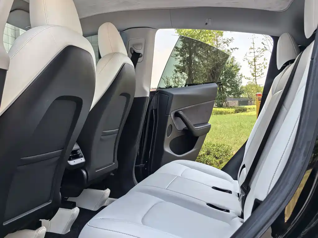 Tesla Model Y — миниатюра 10