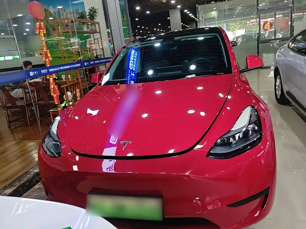 Tesla Model Y — миниатюра 3