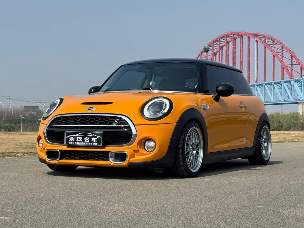 Mini Mini 2015