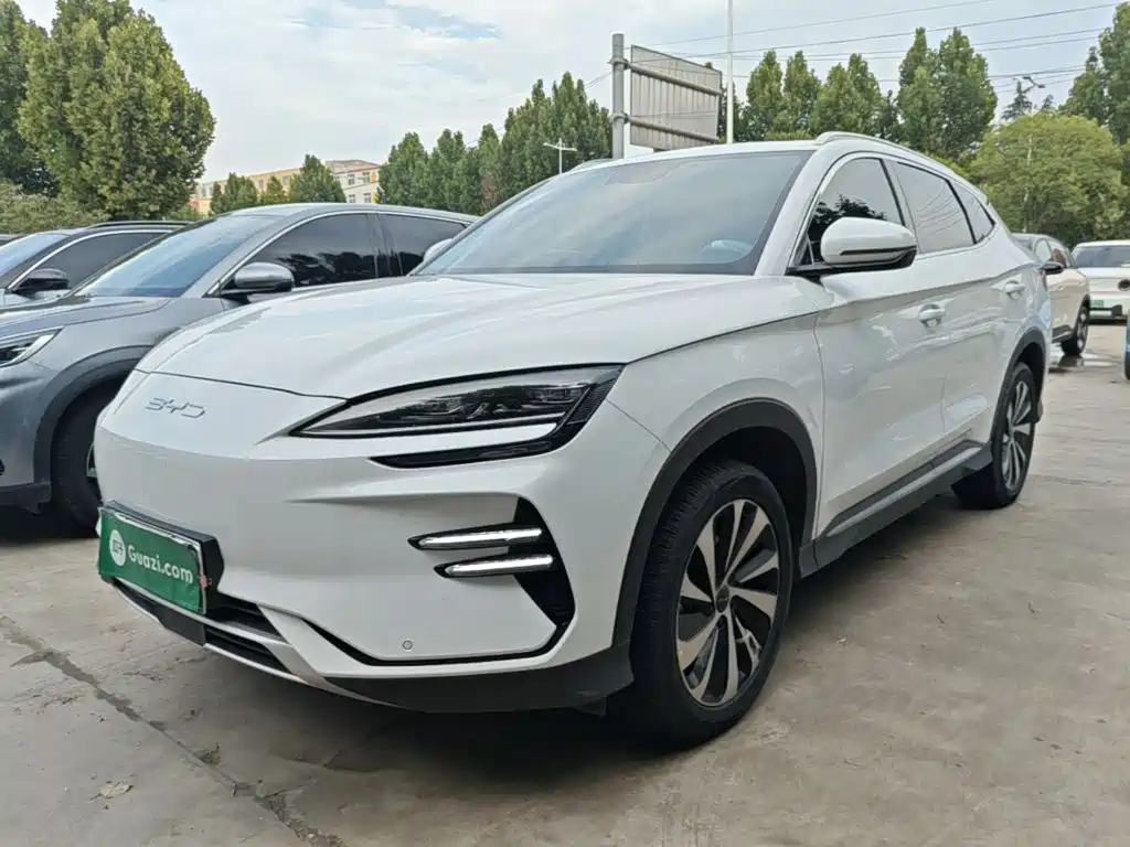 BYD PLUS New Energy — миниатюра 2