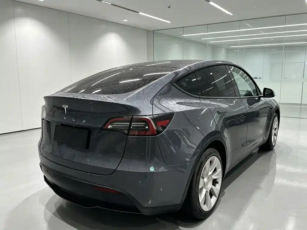 Tesla Model Y — миниатюра 6