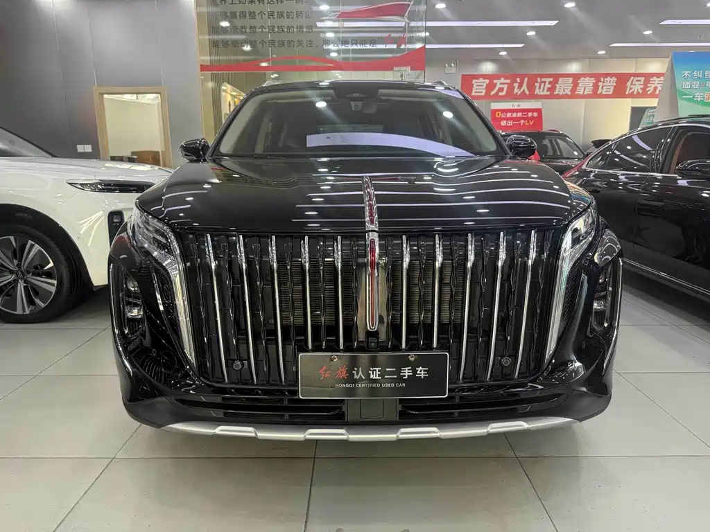 Hongqi Hongqi HS7 PHEV — миниатюра 2