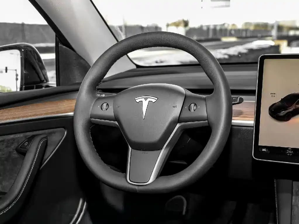 Tesla Model Y — миниатюра 6