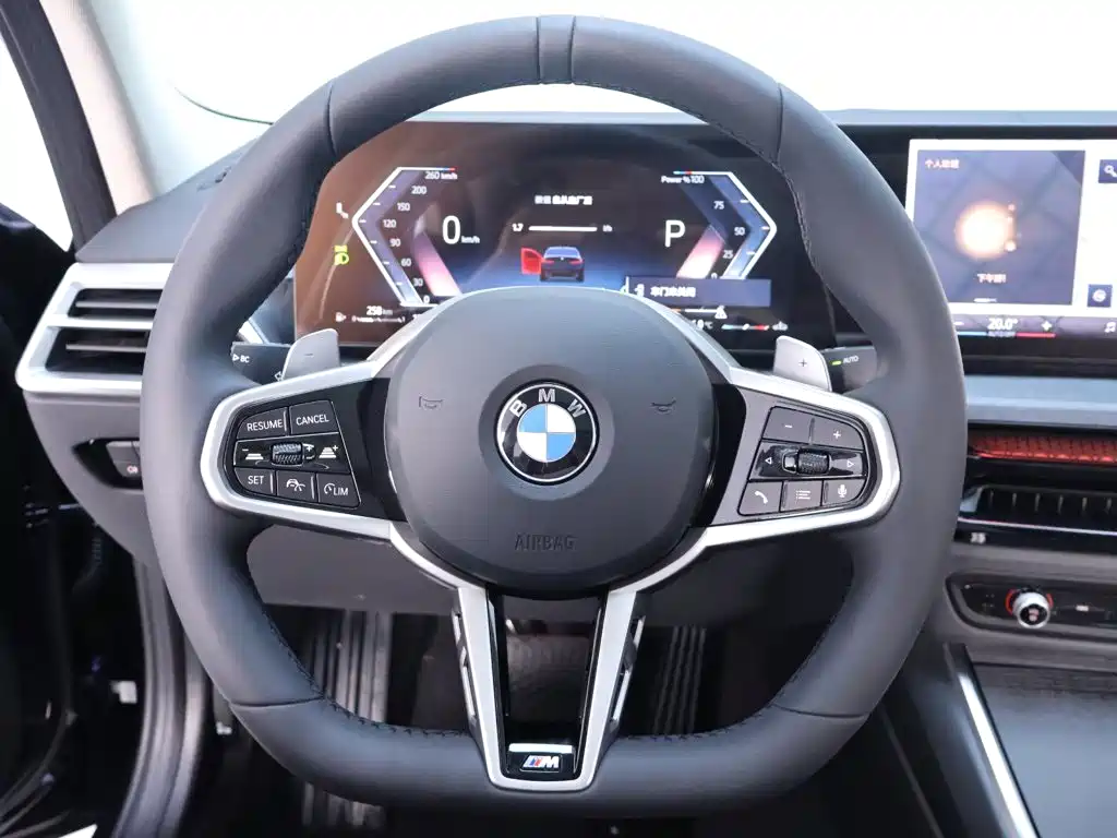 BMW 3 Series — миниатюра 16