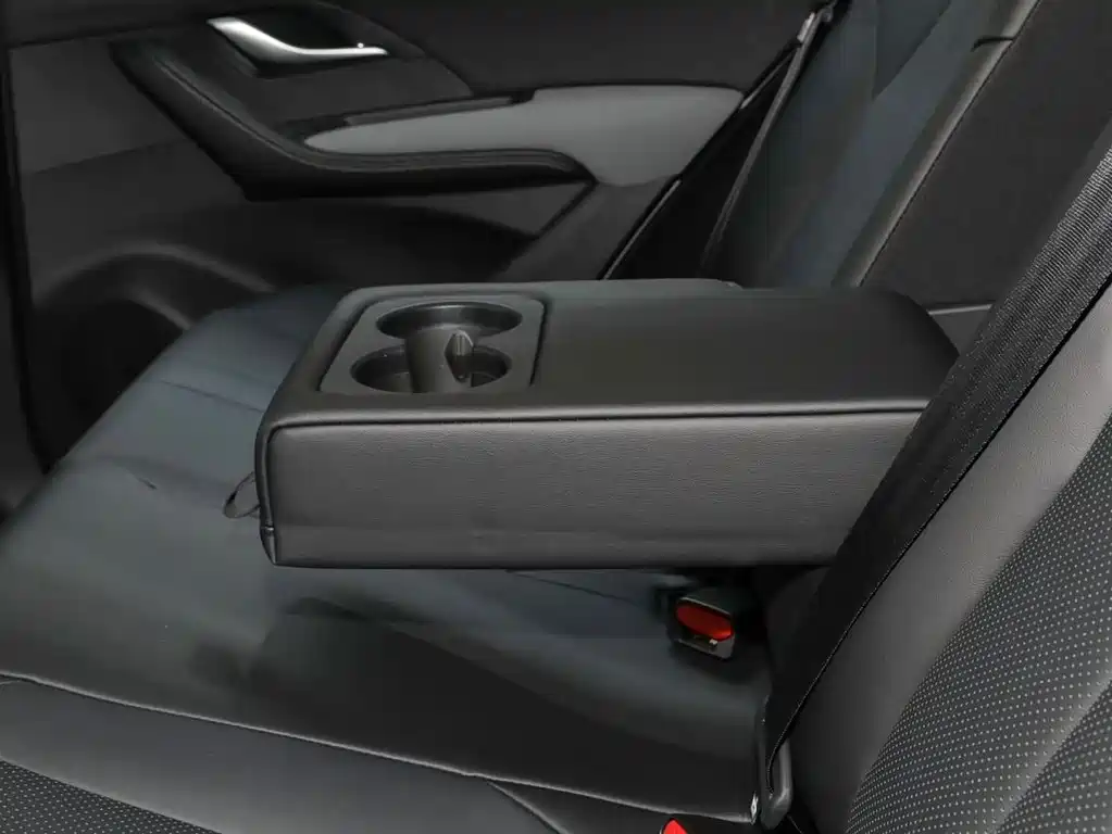 BYD Sealion 05 DM-i — миниатюра 11