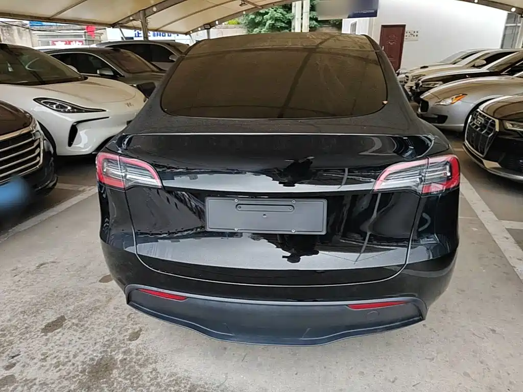 Tesla Model Y — миниатюра 6