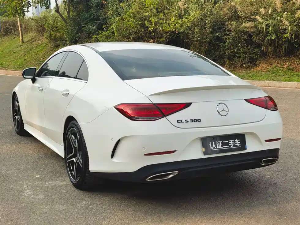 Mercedes-Benz CLS 2021 CLS 300 Luxury