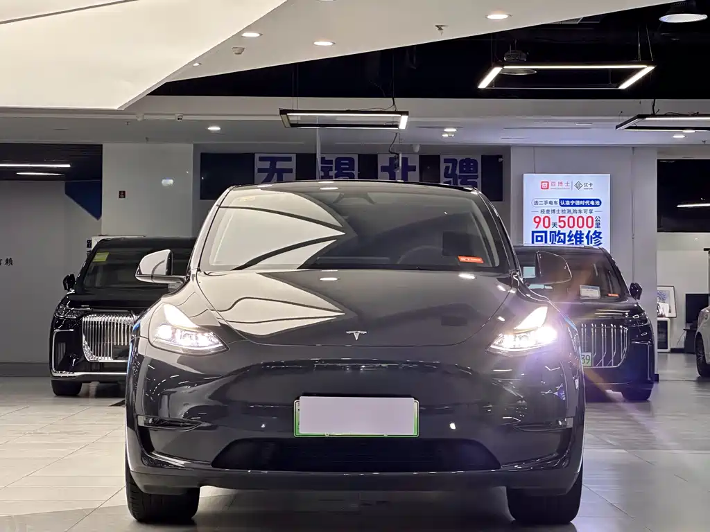 Tesla Model Y — миниатюра 2