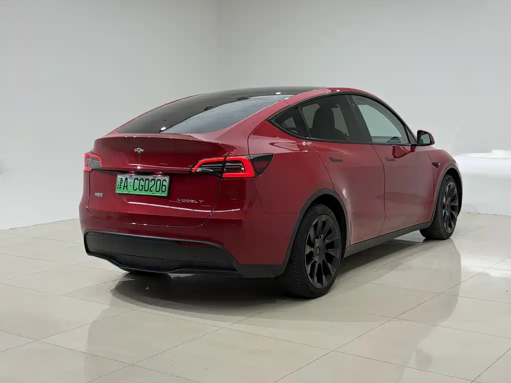 Tesla Model Y — миниатюра 4