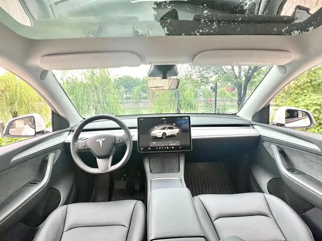 Tesla Model Y — миниатюра 6