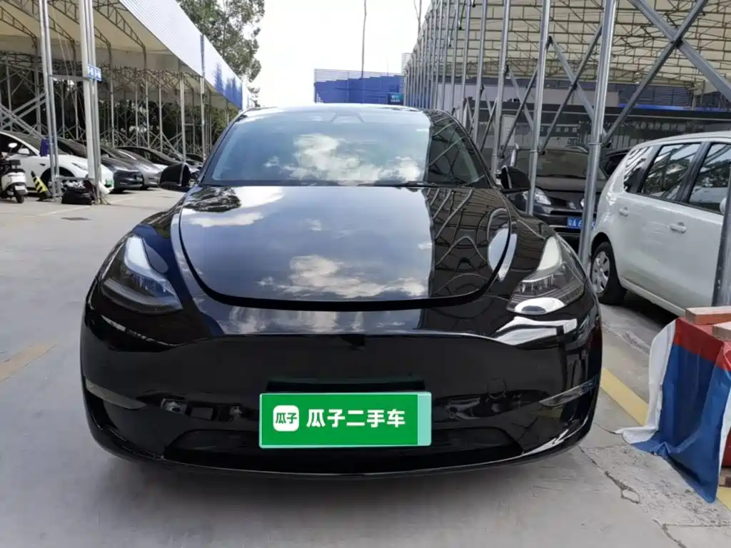 Tesla Model Y — миниатюра 3