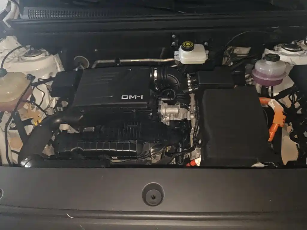 BYD Pro New Energy — миниатюра 20