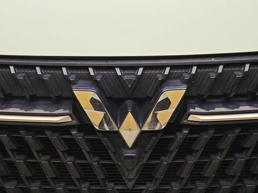 Wuling Xingchen 2021 1.5T CVT