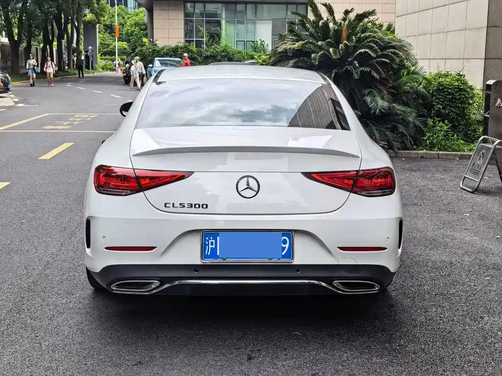Mercedes-Benz CLS Facelift CLS 300 Luxury Type, фото 4