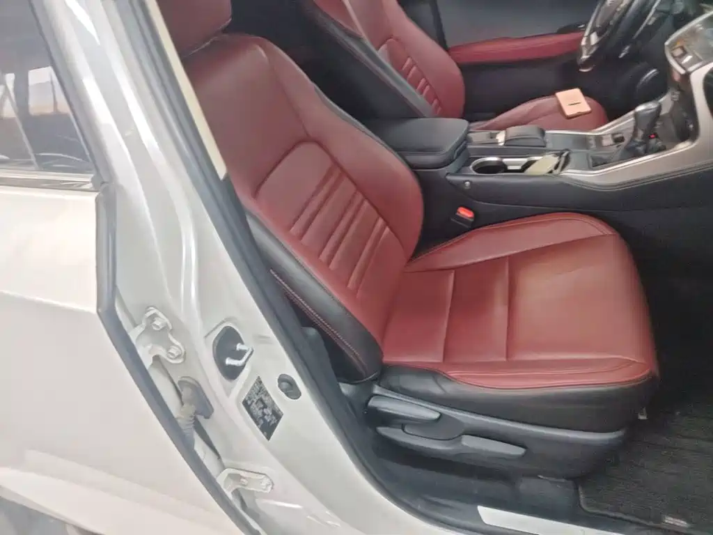 Lexus NX — миниатюра 25
