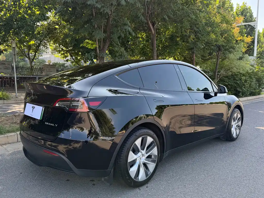 Tesla Model Y — миниатюра 21
