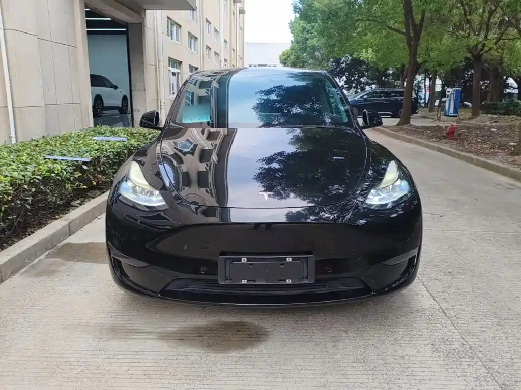 Tesla Model Y — миниатюра 3