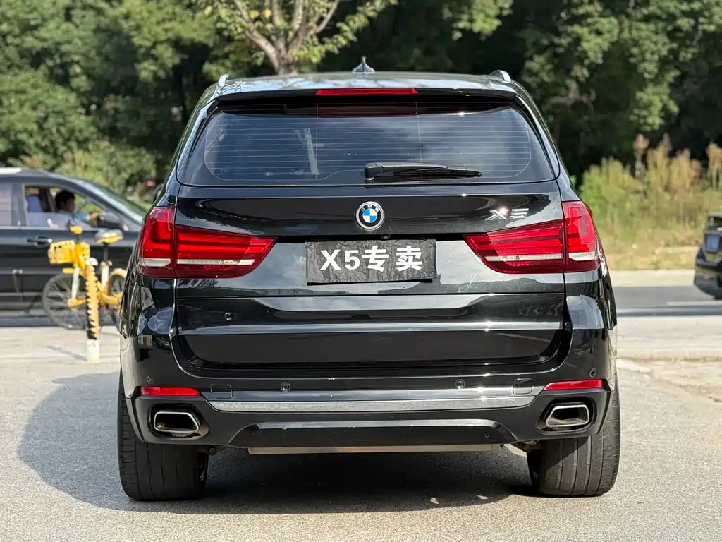 BMW X5 (Import) — миниатюра 5