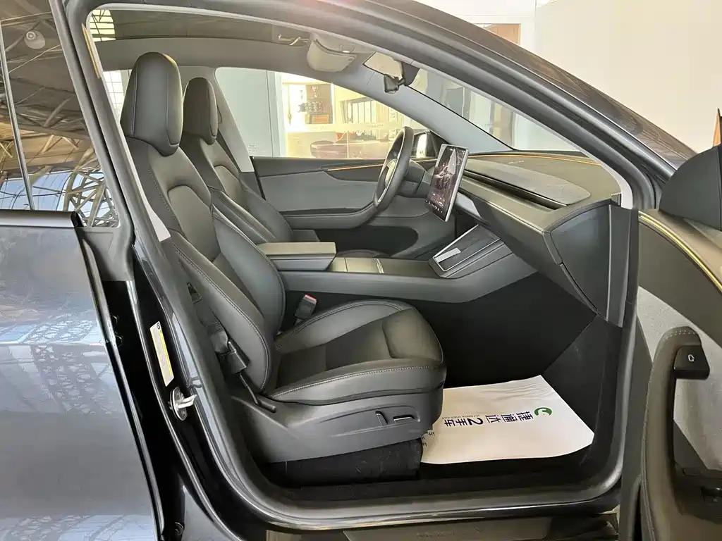 Tesla Model Y — миниатюра 25