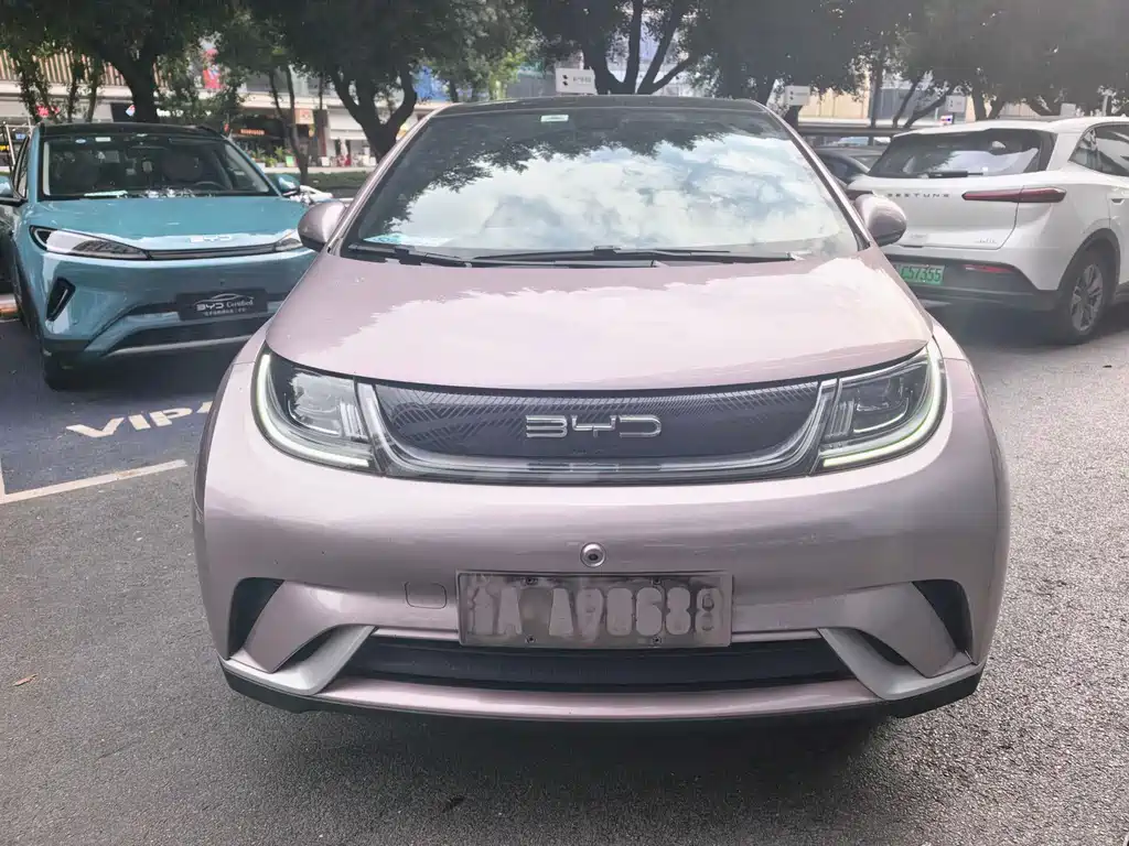 BYD Dolphin — миниатюра 2