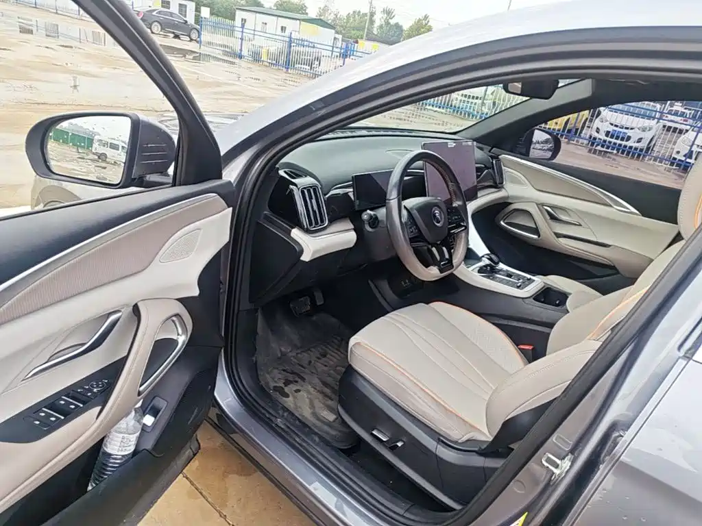 BYD Pro New Energy — миниатюра 16