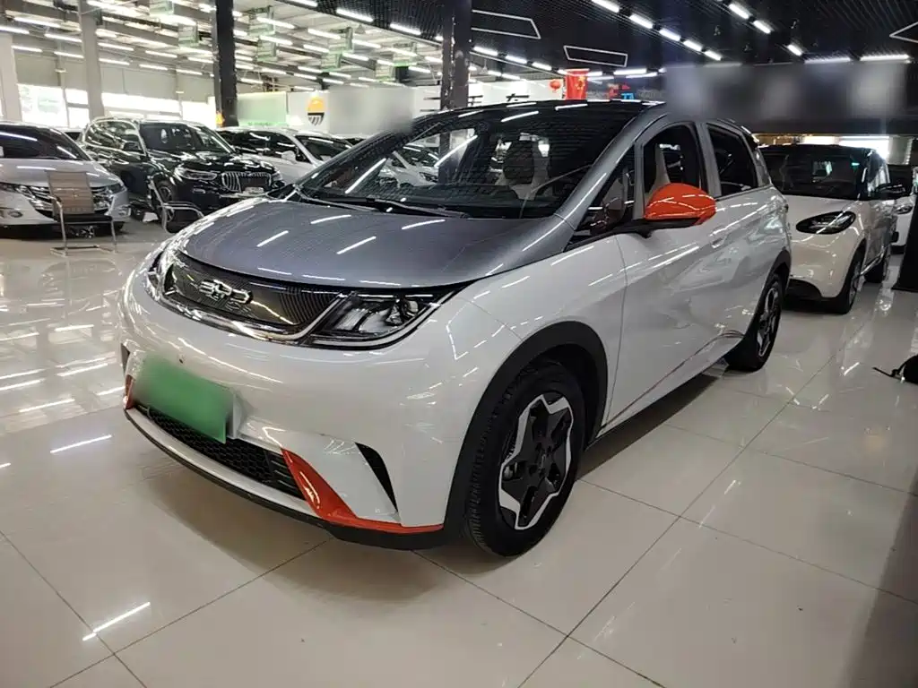 BYD Dolphin — миниатюра 2