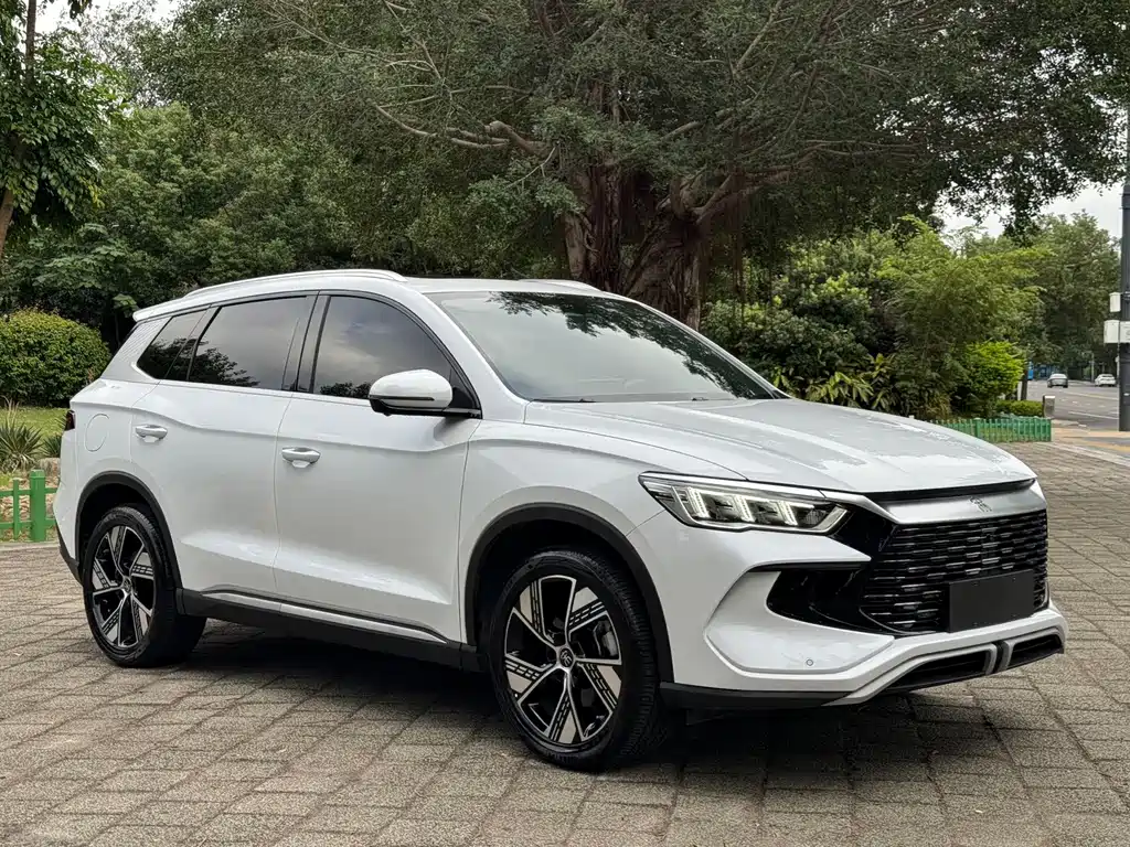 BYD Pro New Energy — миниатюра 3