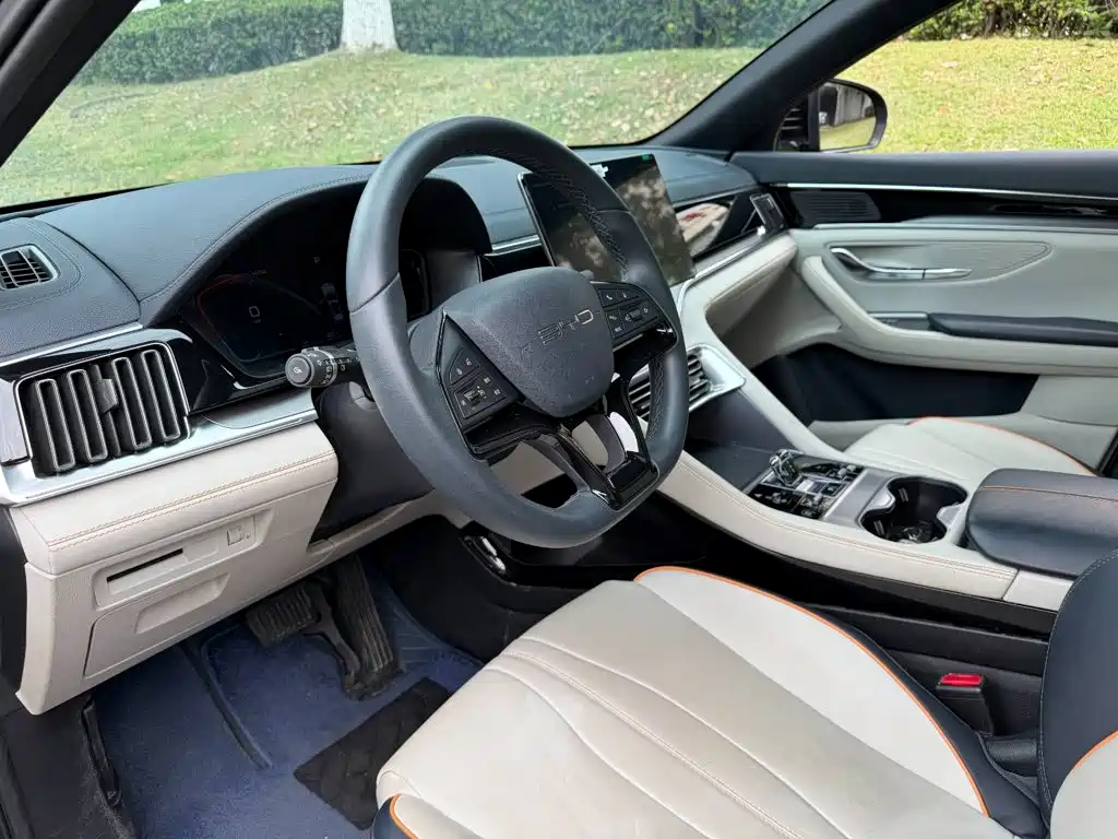 BYD PLUS New Energy — миниатюра 7