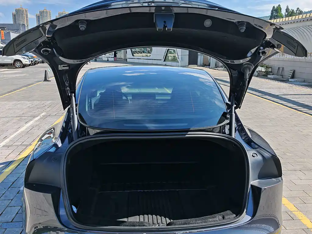 Tesla Model 3 — миниатюра 13