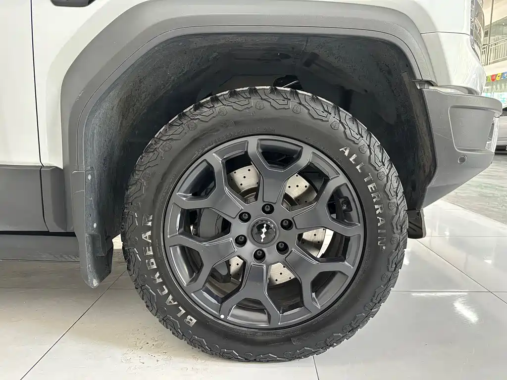 FANG CHENG BAO LEOPARD 5