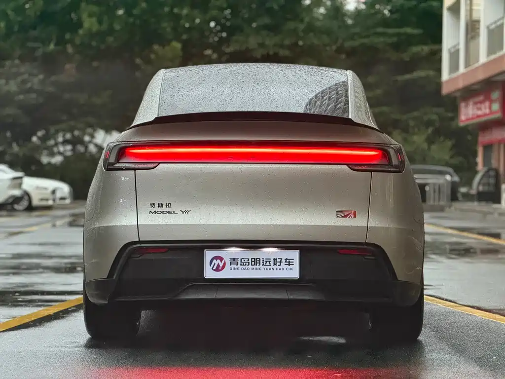 Tesla Model Y L — миниатюра 5