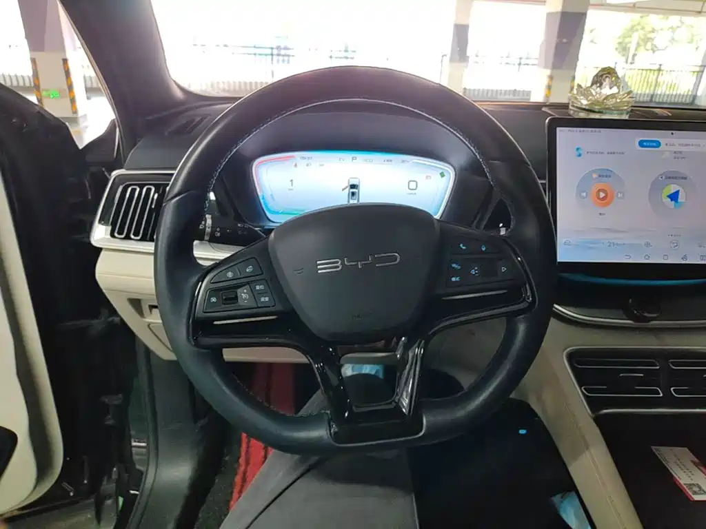BYD PLUS New Energy — миниатюра 11