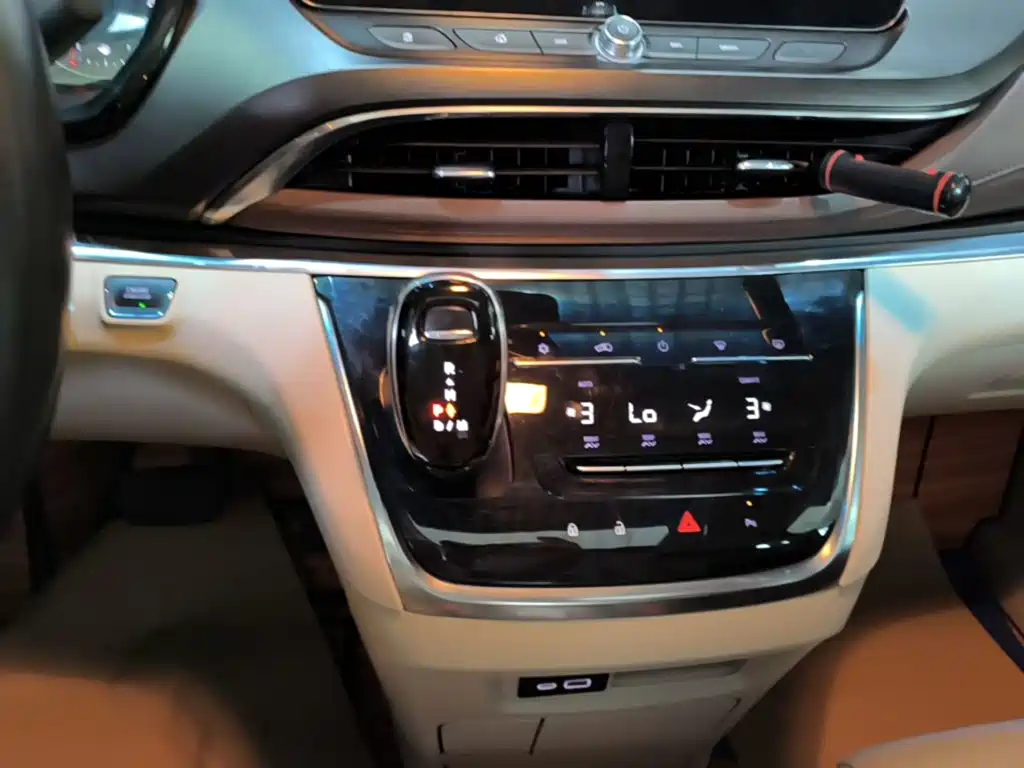 Buick GL8 — миниатюра 14